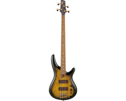 Bass Guitar IBANEZ SR4500-DST