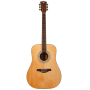 Гитара акустическая ROCKDALE Maverick D6 Natural Gloss