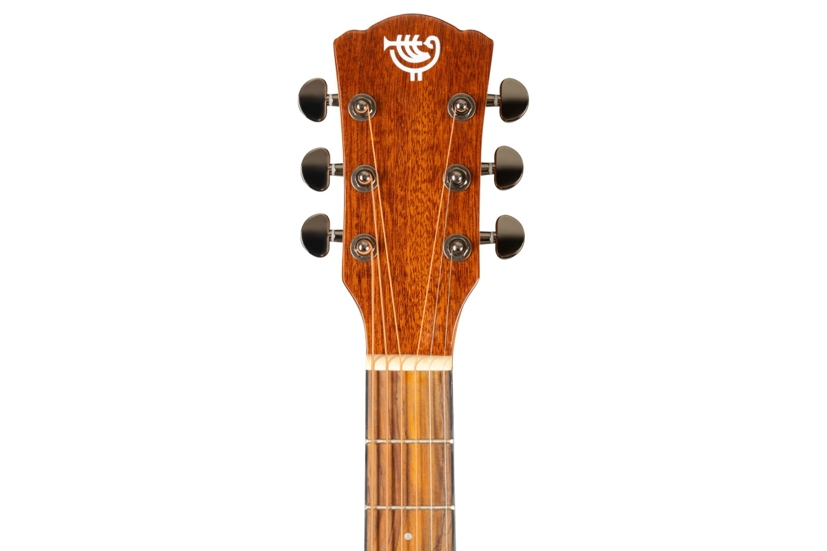 ROCKDALE Maverick D6 ALL-MAHOGANY Gloss acoustic guitar