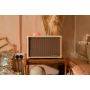 Гітарний комбопідсилювач BLACKSTAR ACOUSTIC:CORE 30