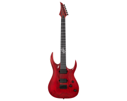 SOLAR GUITARS AC1.6HTBR electric guitar