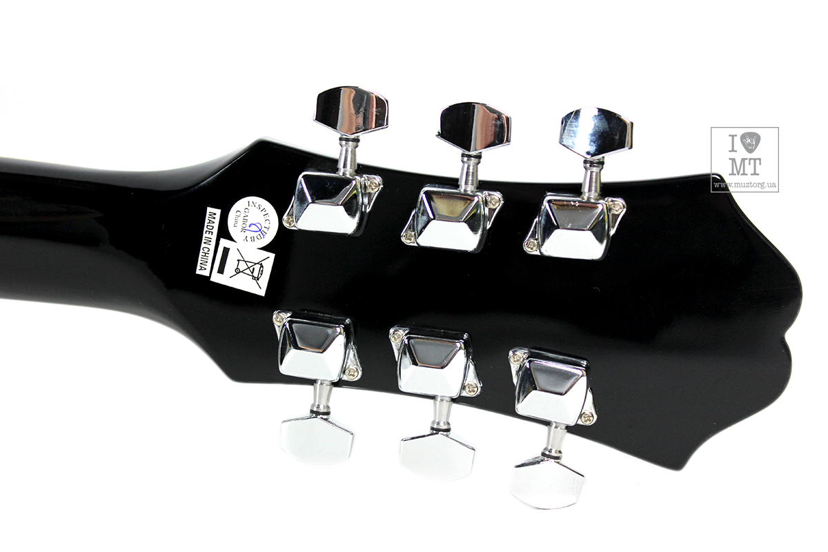 Гитара акустическая EPIPHONE DR-100 EB