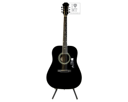 EPIPHONE DR-100 EB Acoustic Guitar