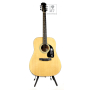 Гитара акустическая EPIPHONE DR-100 NT