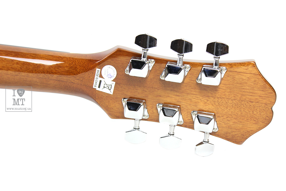 Гитара акустическая EPIPHONE DR-100 NT