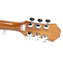 Гитара акустическая EPIPHONE DR-100 NT