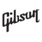 Официальный представитель GIBSON в Украине – МузТорг: полный ассортимент продукции