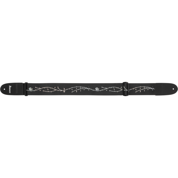 Ibanez GS100TOD GS100TOD image 1