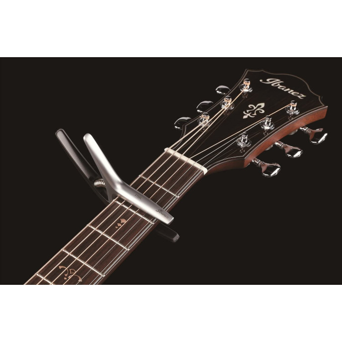 Ibanez  ICGC10 ICGC10 image 3