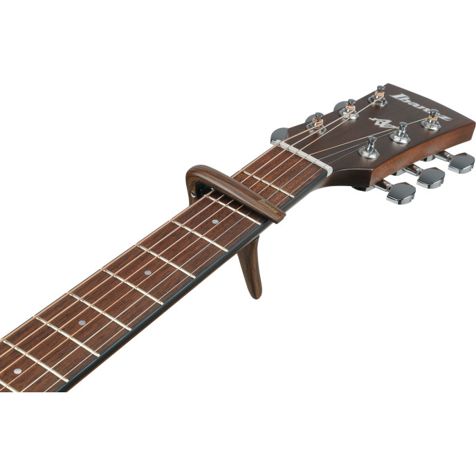 Ibanez IGC10W IGC10W image 1