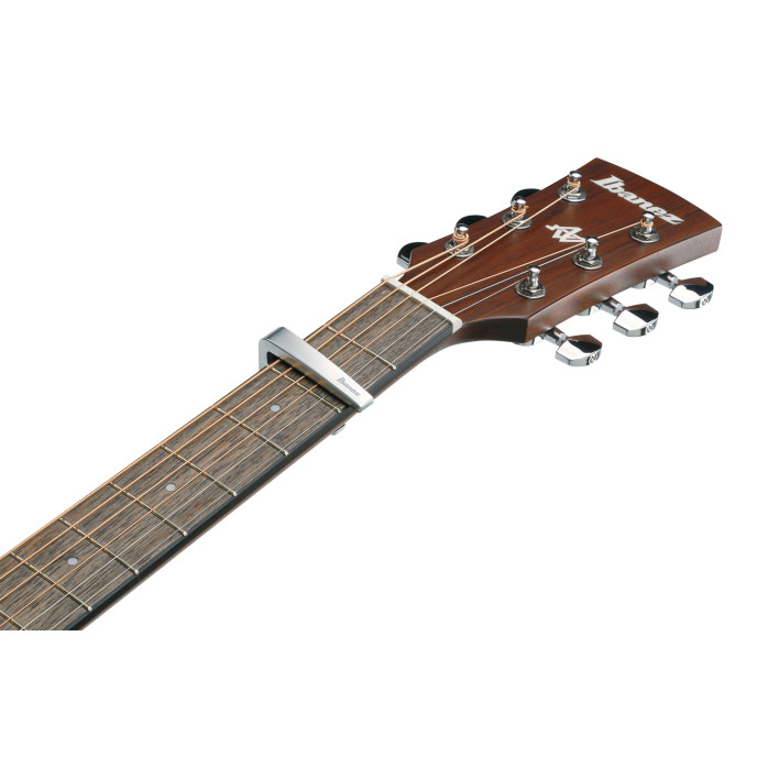 Ibanez IGCZ10 IGCZ10 image 1