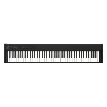 KORG D1 D1 image 9384