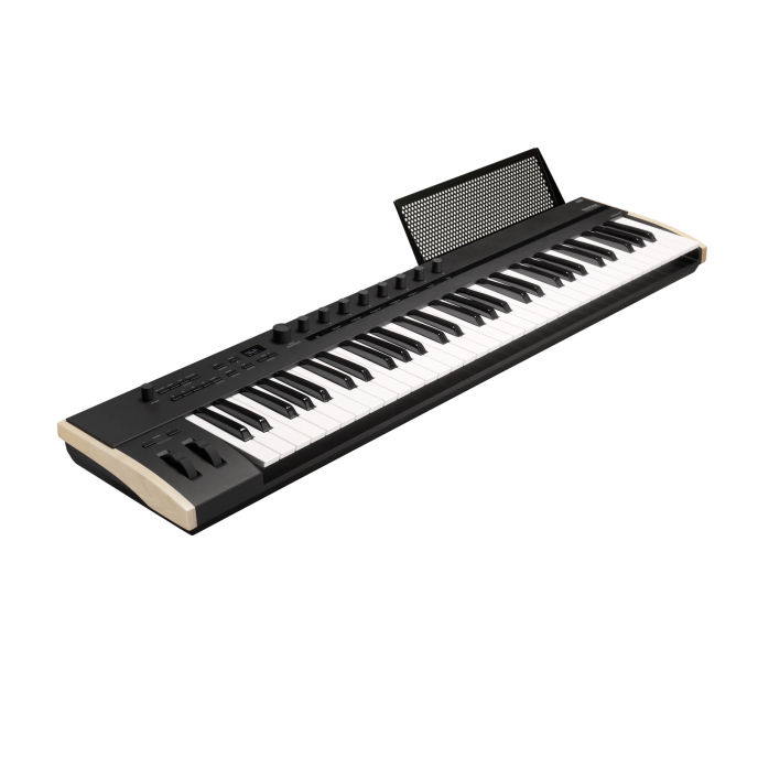 KORG Keystage 61 KEYSTAGE 61 изображение 3