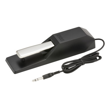 KORG DS-1H DS-1H image 9454