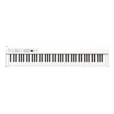 KORG D1-WH D1 WH изображение 4722
