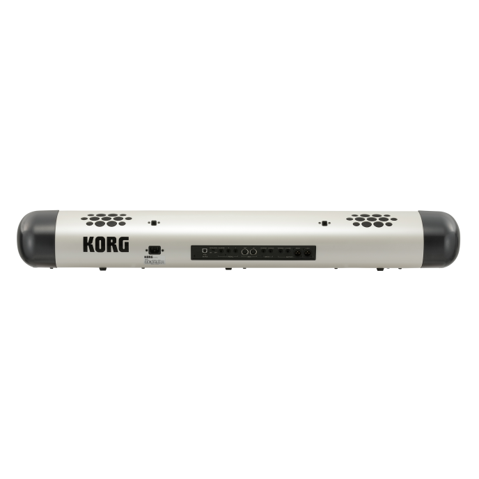 KORG SV2-73S SV2-73S изображение 2