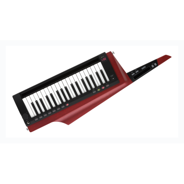 KORG RK-100S2 RD RK-100S 2RD изображение 4994