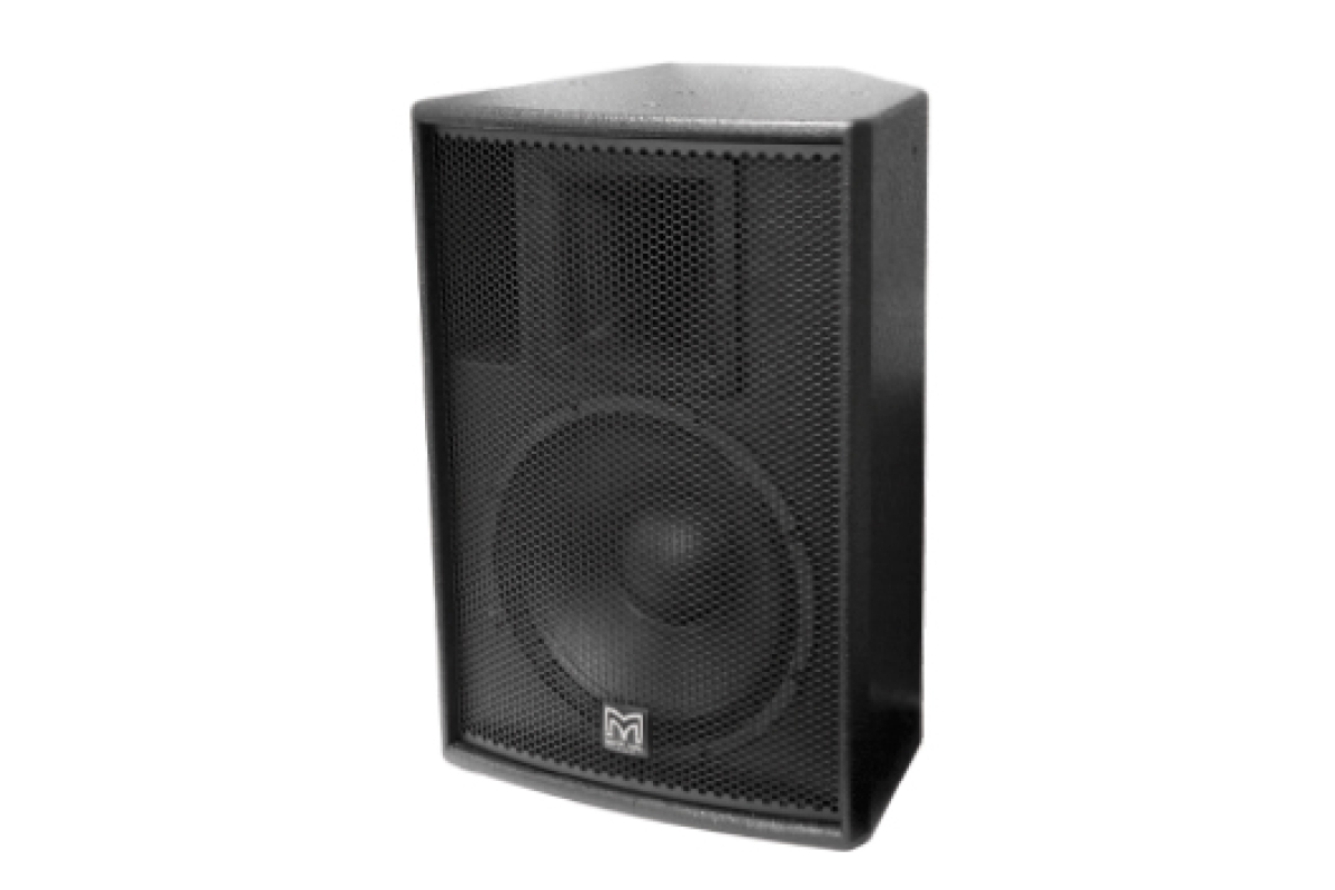 Акустическая система MARTIN AUDIO X12